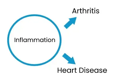 INFLAMMATION